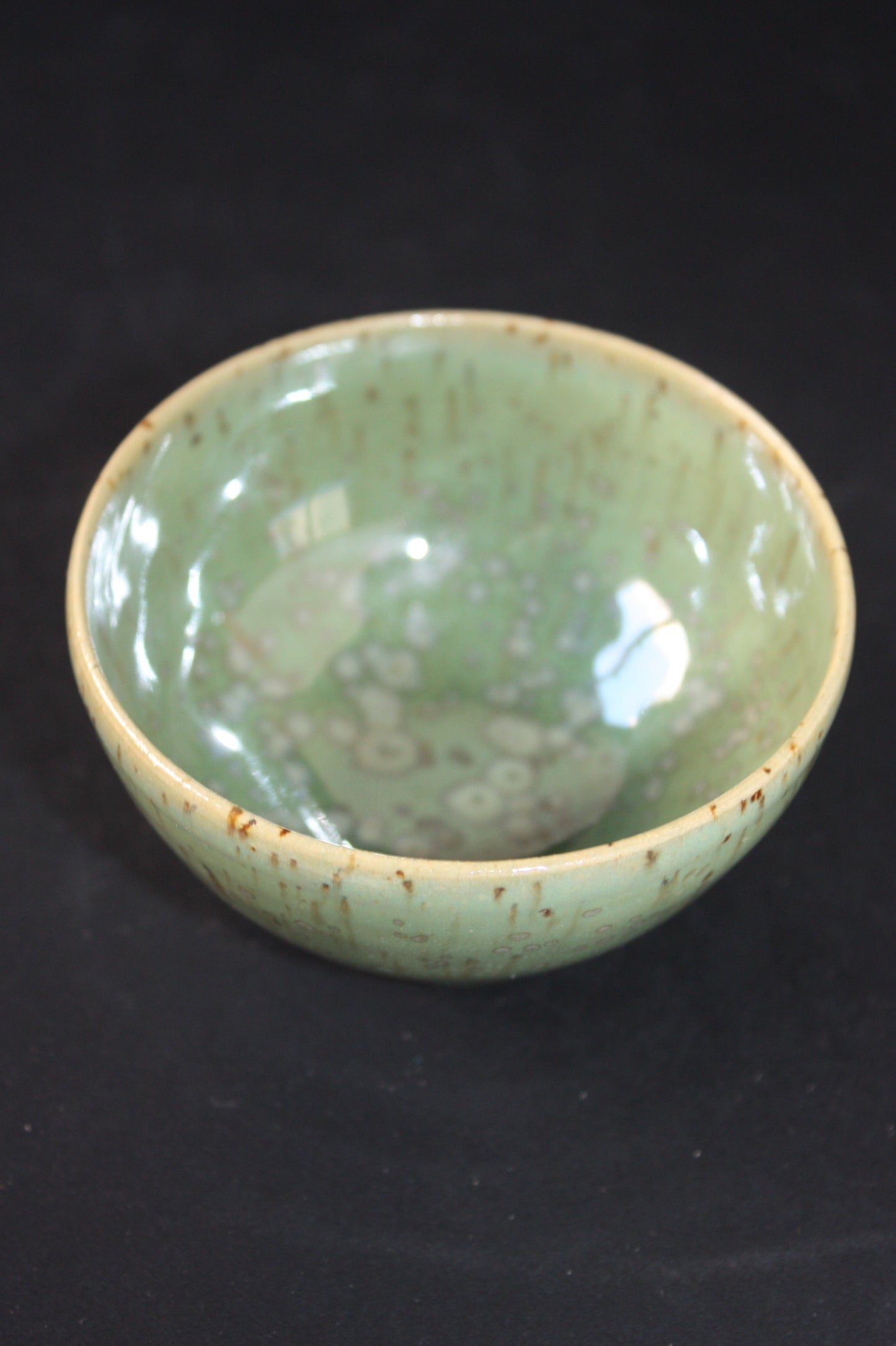 Small bowl, Algues