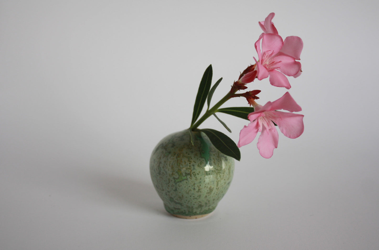 Mini vase, Algues